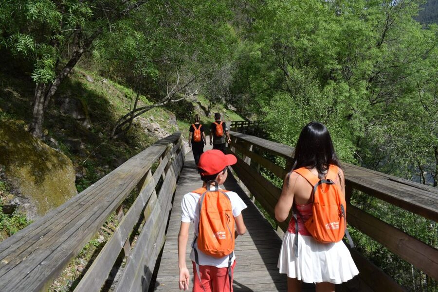 Alvarenga: Paiva Walkways and 516 Arouca Bridge Guided Tour - Key points to know before booking