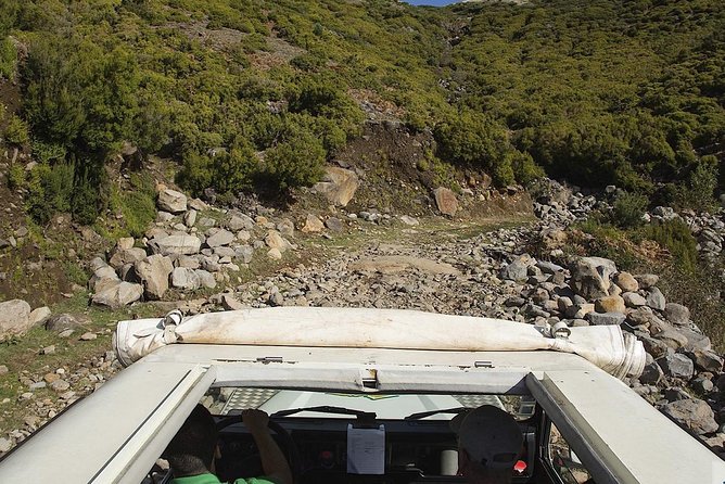 Amazing West - Jeep Safari Tour - Full Day - Shared Tour - Fanal Forest and the best reason to choose a Jeep