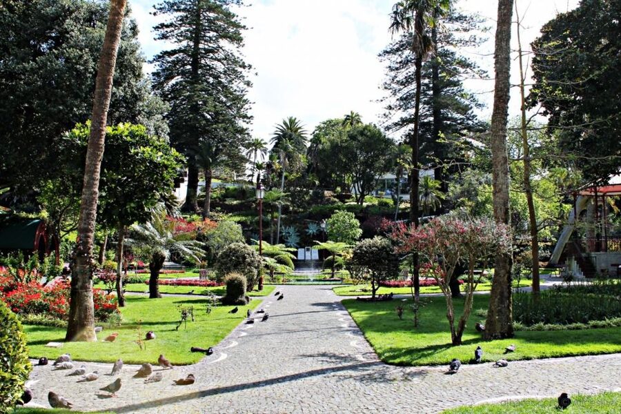 Angra do Heroísmo: Walking Tour with Local Pastry and Coffee - What the guides add to the route