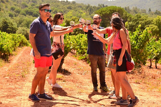 Arrabida and Sesimbra Small-Group Day Trip from Lisbon with Wine Tasting - Quinta do Alcube in the Arrábida countryside