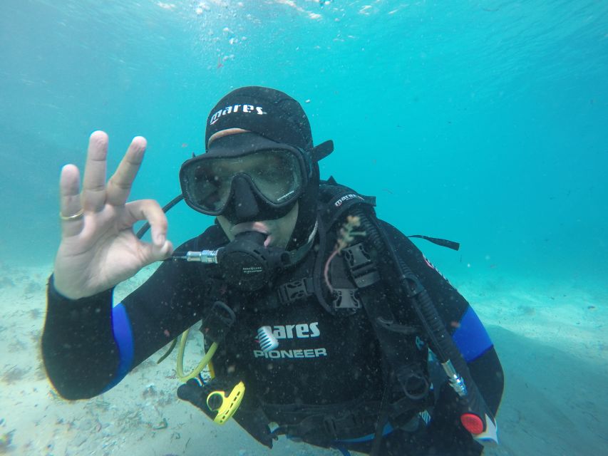 Arrábida - Sesimbra: Eco-Friendly Beginner's Scuba Diving - A gentle first look beneath the Arrábida coast
