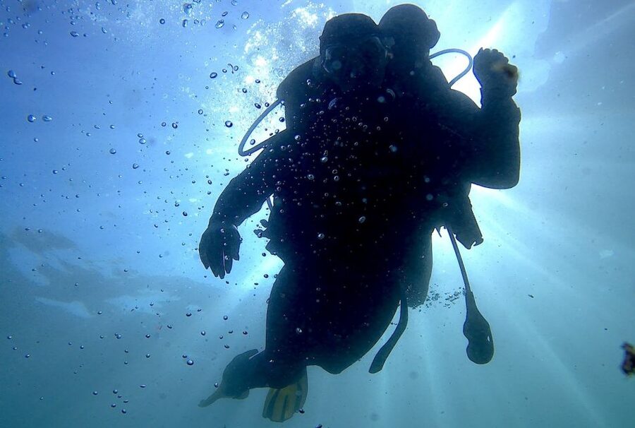 Arrábida - Sesimbra: Eco-Friendly Beginner's Scuba Diving - The first hour: theory, safety, and communication