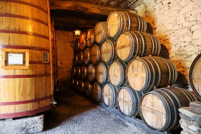 Authentic Small Group Douro Wine Tour with Lunch & River Cruise - First winery: learning how Douro and Port wines are made