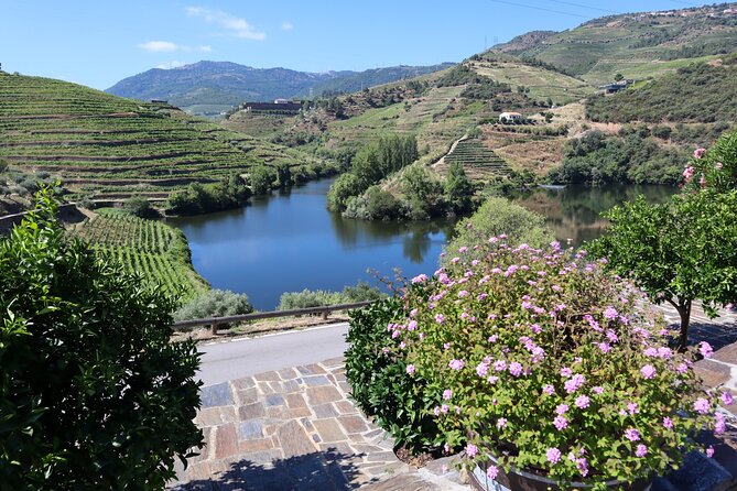 Authentic Small Group Douro Wine Tour with Lunch & River Cruise - Pinhão combines river history, lunch, and open views