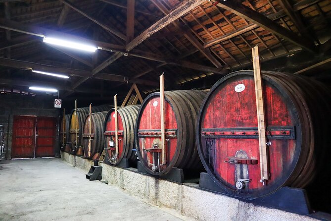 Authentic Small Group Douro Wine Tour with Lunch & River Cruise - The guides shape the day