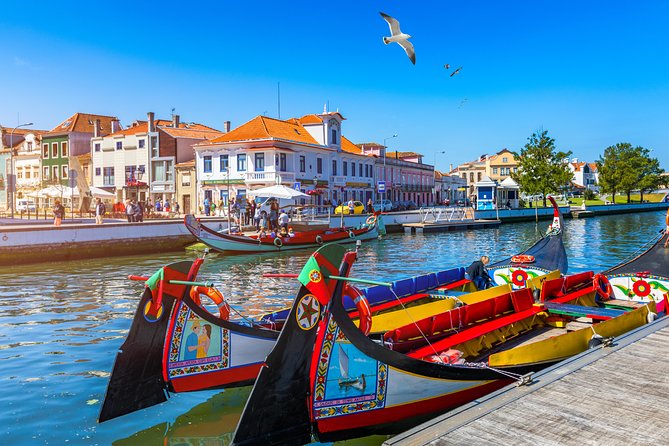 Aveiro and Costa Nova Half Day Tour from Porto with Boat Ride - Porto to Aveiro: A Scenic Ride With Limited Time