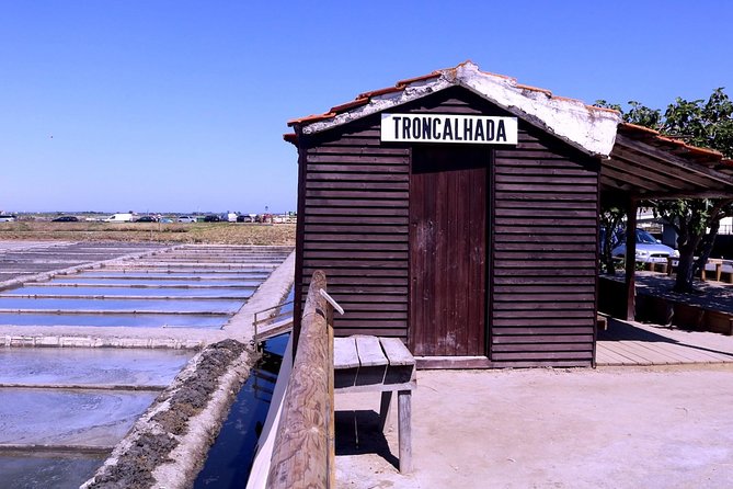 Aveiro and Costa Nova Half Day Tour from Porto with Boat Ride - Is the $55.63 Price Good Value?