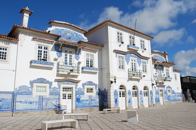 Aveiro and Costa Nova Half Day Tour from Porto with Boat Ride - Weather and Season Matter More Than You Might Expect