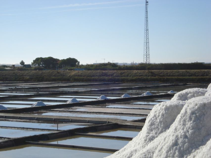 Aveiro: Boat Cruise and City Walking Tour with Sweet Tasting - Why this Aveiro combination works