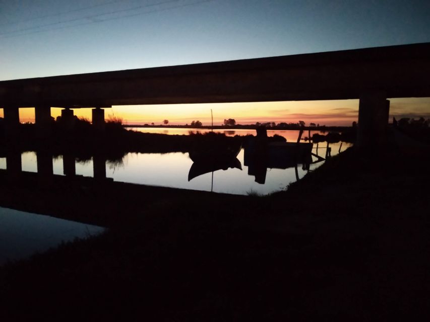 Aveiro: Boat Cruise and City Walking Tour with Sweet Tasting - Ovos moles: a small tasting with local meaning