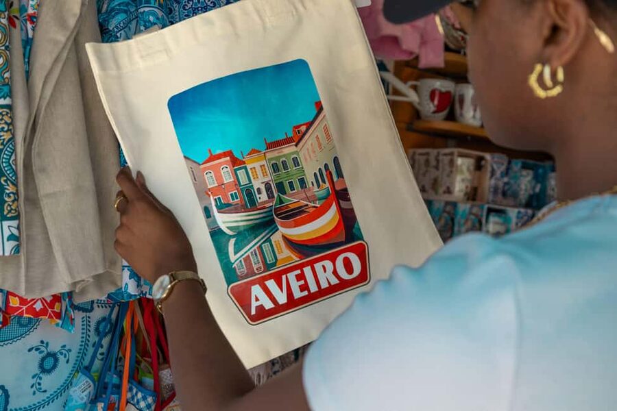 Aveiro: Half-Day Tour from Porto with Cruise - Why Aveiro makes a good side trip from Porto