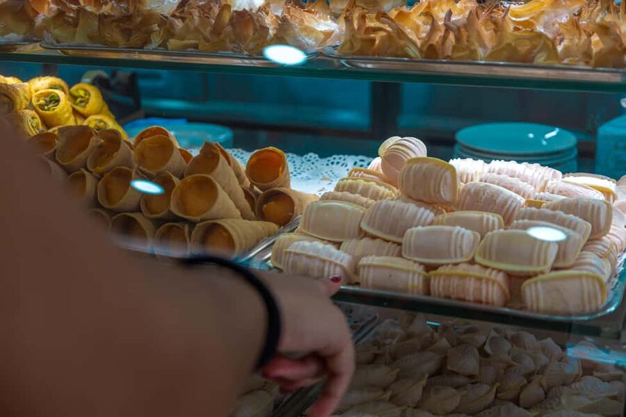Aveiro: Half-Day Tour from Porto with Cruise - How much value do you get for $52?
