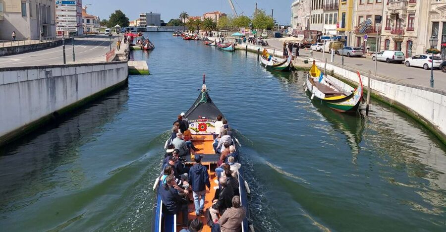 Aveiro: Stories, Canals, and Azulejos Guided Walking Tour - Praça da República and the Language of the Pavement