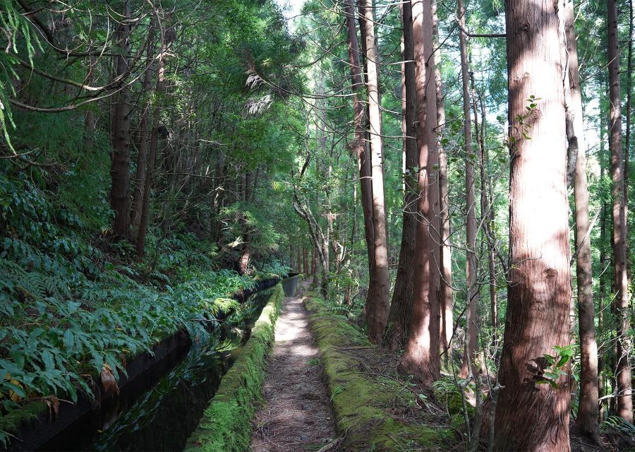 Azores: São Miguel and Lagoa do Fogo Hiking Trip - Following the water levada into the high country