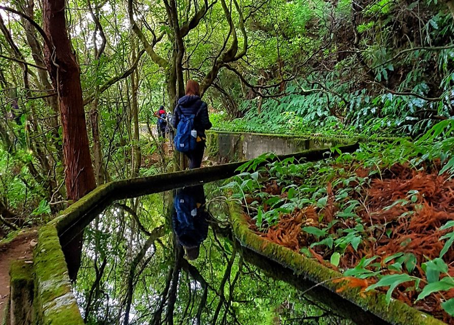 Azores: São Miguel and Lagoa do Fogo Hiking Trip - The steep descent and island flowers