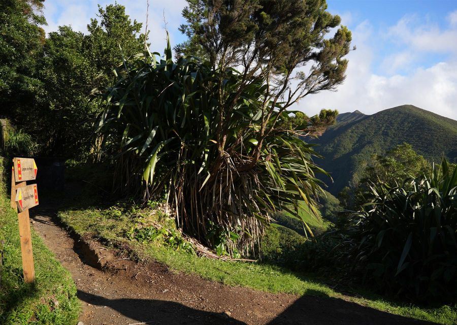 Azores: São Miguel and Lagoa do Fogo Hiking Trip - Fitness, clothing, and who should book
