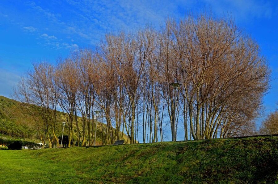 Azores: Terceira Island Full-Day Tour - The cave stop needs a current update