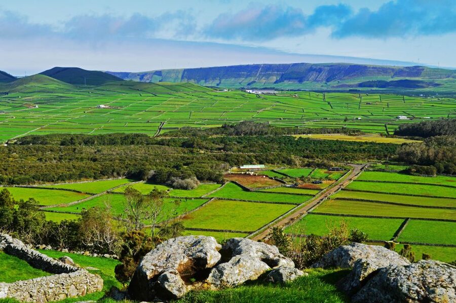 Azores: Terceira Island Full-Day Tour - Monte Brasil gives you an Angra introduction