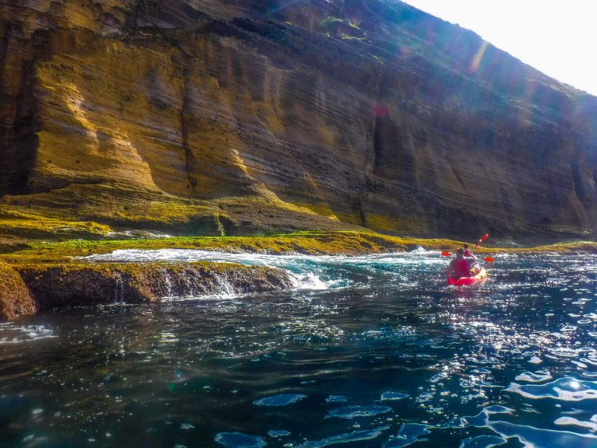 Azores: Vila Franca do Campo Islet Kayaking Experience - Why Vila Franca Islet is worth seeing from a kayak
