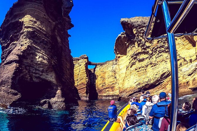 Azores Whale Watching & Islet Boat Tour - Respectful wildlife viewing matters