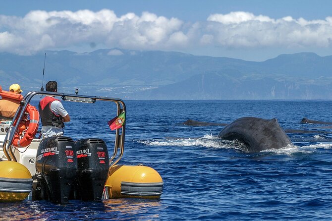 Azores Whale Watching & Islet Boat Tour - The RIB ride and what the three hours feel like