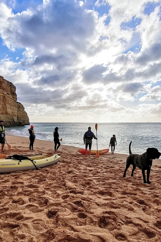 Benagil: Guided Kayaking Tour to the Benagil Cave - Is $28 a good value?