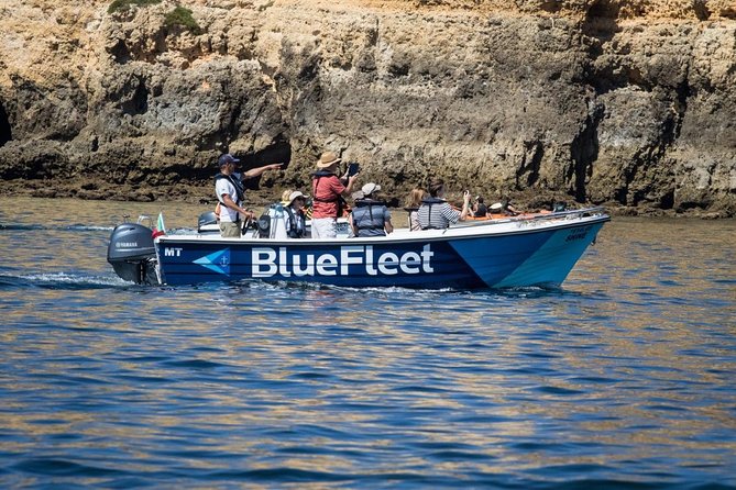 Boat Trip to Ponta da Piedade from Lagos - Beaches and the fort from a different angle