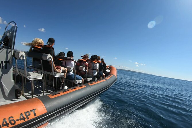 Boat trip to the caves of Benagil - Algar de Benagil, the star of the route