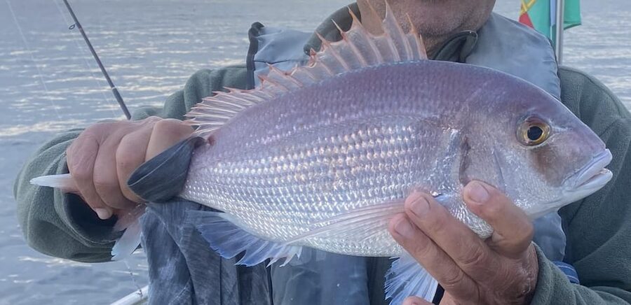 Bottom Fishing Lagos - Three fishing locations, changing views, and local catches