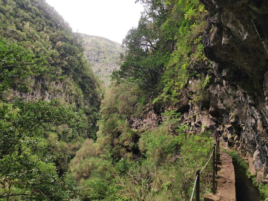 Caldeirão Verde: Queimadas PR9 Transfer and Self-Guided Hike - Walking beside the levada