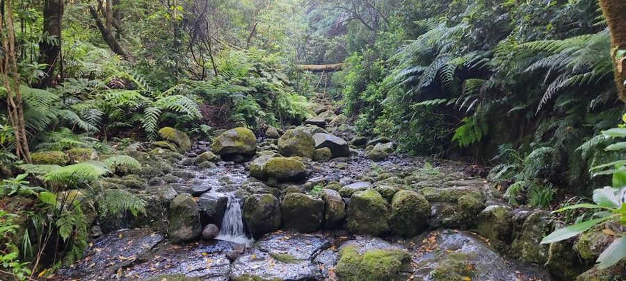 Caldeirão Verde: Queimadas PR9 Transfer and Self-Guided Hike - Why an early departure makes sense