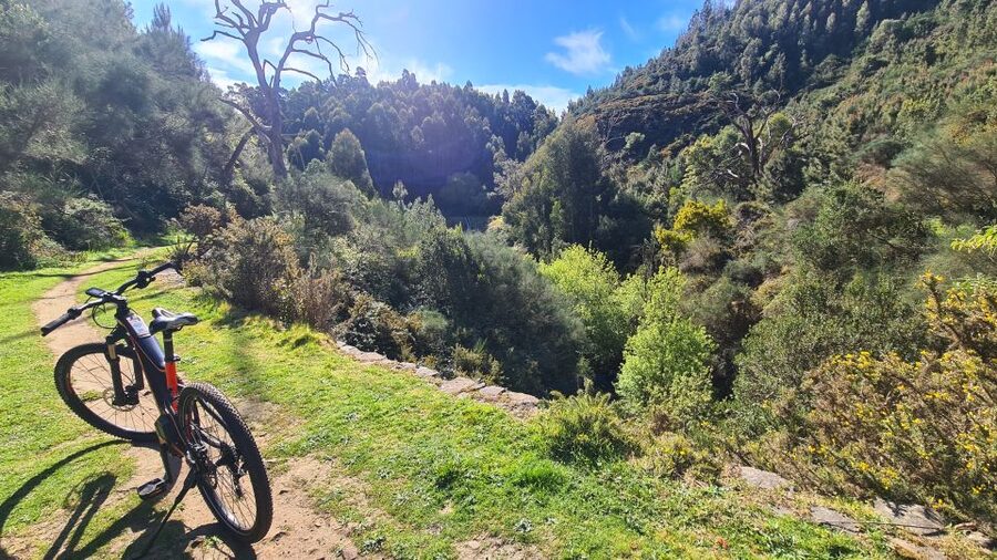 Camacha: Levada Trail e-Bike Guided Tour - What to wear and pack