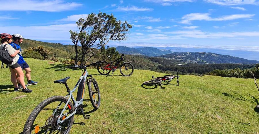 Camacha: Levada Trail e-Bike Guided Tour - Why this Camacha ride is worth your morning