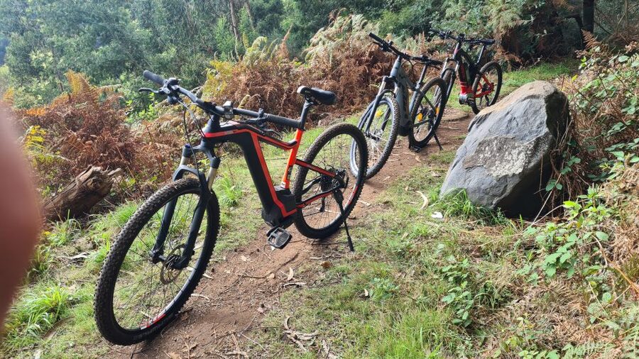 Camacha: Levada Trail e-Bike Guided Tour - From hotel pickup to Camacha
