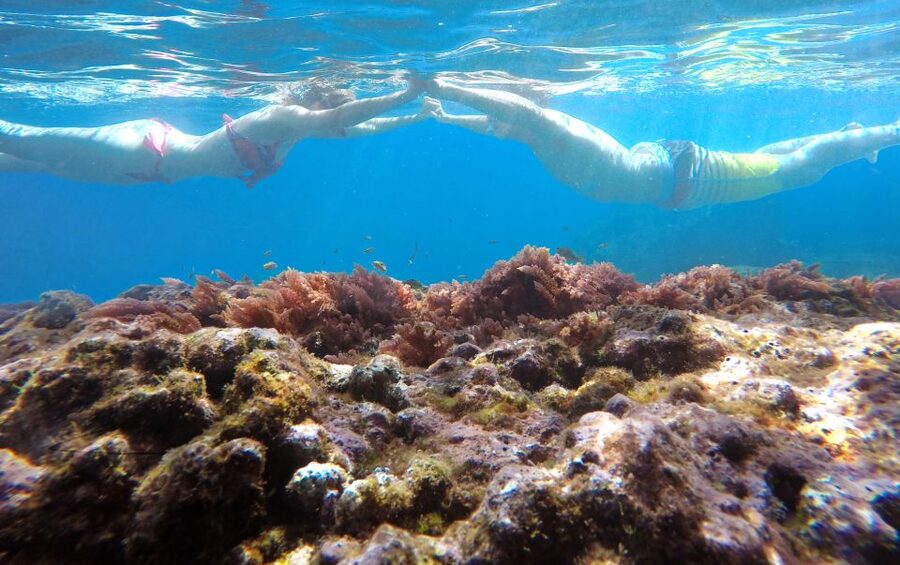 Caniço, Madeira: Marine Reserve Kayak & Snorkelling Tour - Paddling beneath Caniço’s Atlantic cliffs