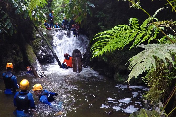 Canyoning Experience at Ribeira Grande - What the three-hour route is really like