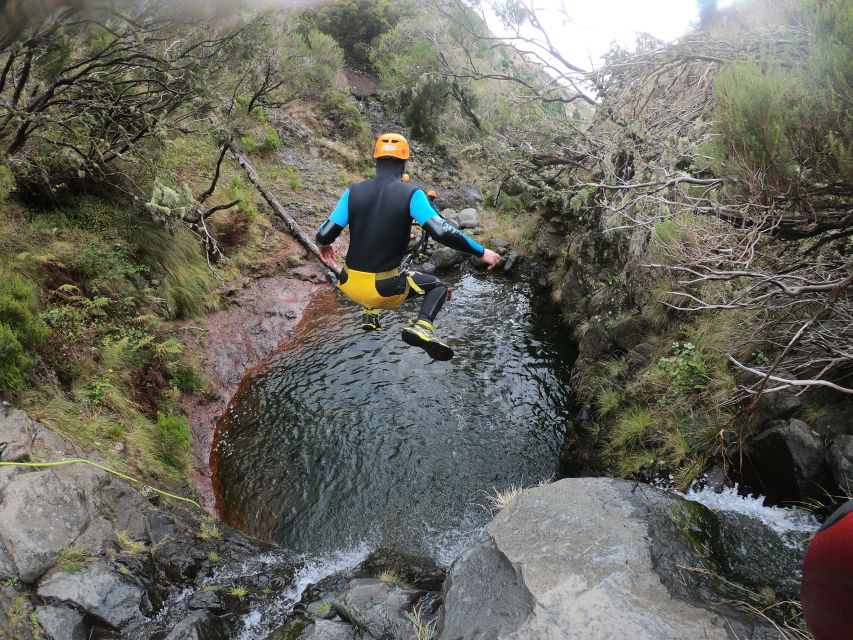 Canyoning in Madeira: Ideal for First-Timers and Families - Why this canyoning trip works for first-timers
