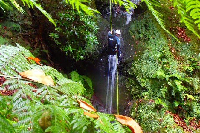 Canyoning Madeira Island - Level One - The equipment is included, but pack the small essentials