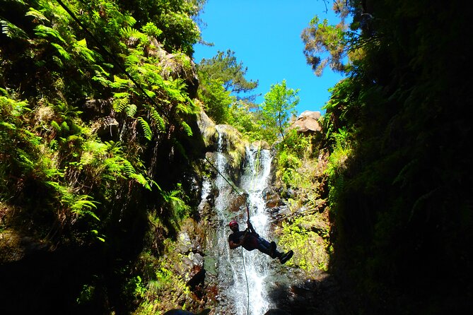Canyoning Madeira Island - Level One - How the $80.69 price holds up