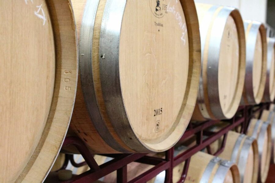 Carvoeiro/Portimão/Alvor: Wine Tour w/ Tasting, Tapas, Music - What makes this different from a regular Algarve excursion