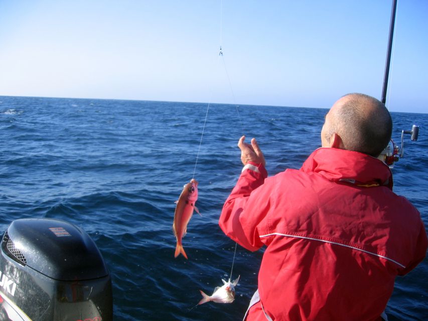 Cascais Deep-Sea Fishing Trip - What makes this Cascais fishing trip worth considering