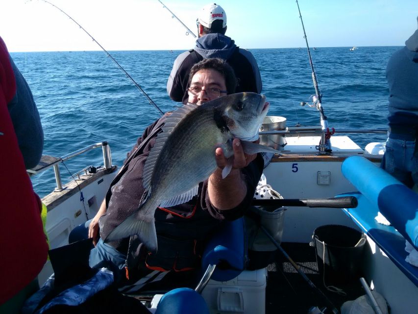 Cascais Deep-Sea Fishing Trip - What you may catch off Cascais
