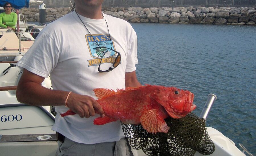 Cascais Deep-Sea Fishing Trip - Crew help makes the difference for beginners