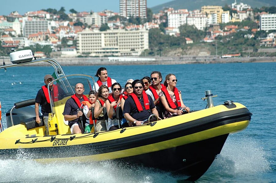 Cascais: Dolphin Watching Speedboat Tour - Who should book this outing?