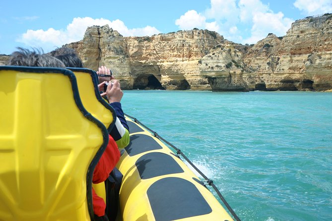 Caves and Dolphin Watching Cruise from Albufeira - Is the $42.33 price good value?