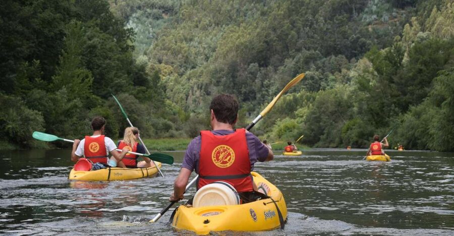 Coimbra: Mondego River Kayaking Tour - From Coimbra or the meeting point to Penacova