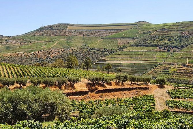 Complete Douro Valley Wine Tour with Lunch, Wine Tastings and River Cruise - São Cristóvão do Douro and the hilltop photo stop