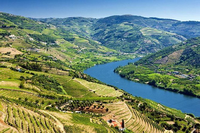 Complete Douro Valley Wine Tour with Lunch, Wine Tastings and River Cruise - Pinhão and the traditional Rabelo boat