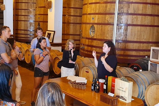 Complete Douro Valley Wine Tour with Lunch, Wine Tastings and River Cruise - Folgosa and the second estate tasting
