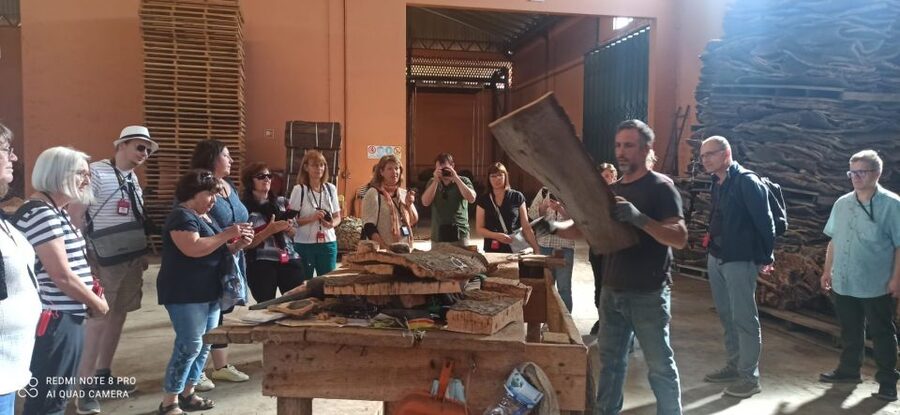 Cork Factory Tour - Arriving at Eco-Cork Factory near São Brás de Alportel